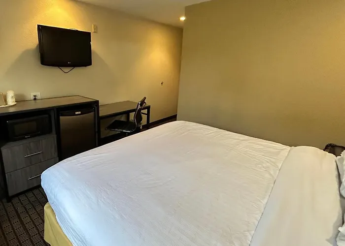 Travelodge By Wyndham Arlington/Dallas Area